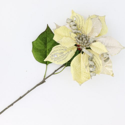 Champagne/Cream Flower