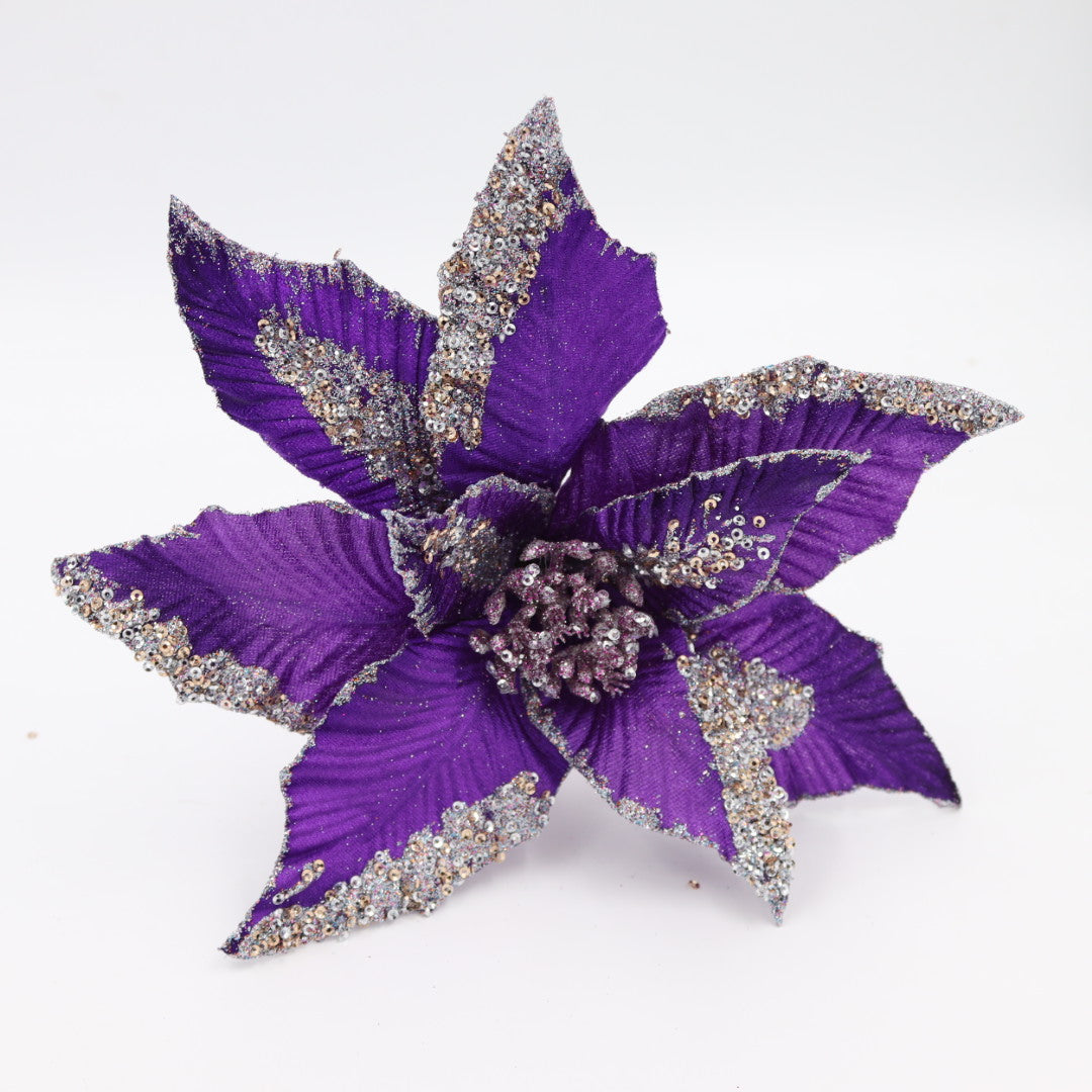 Purple Poinsettia Flower