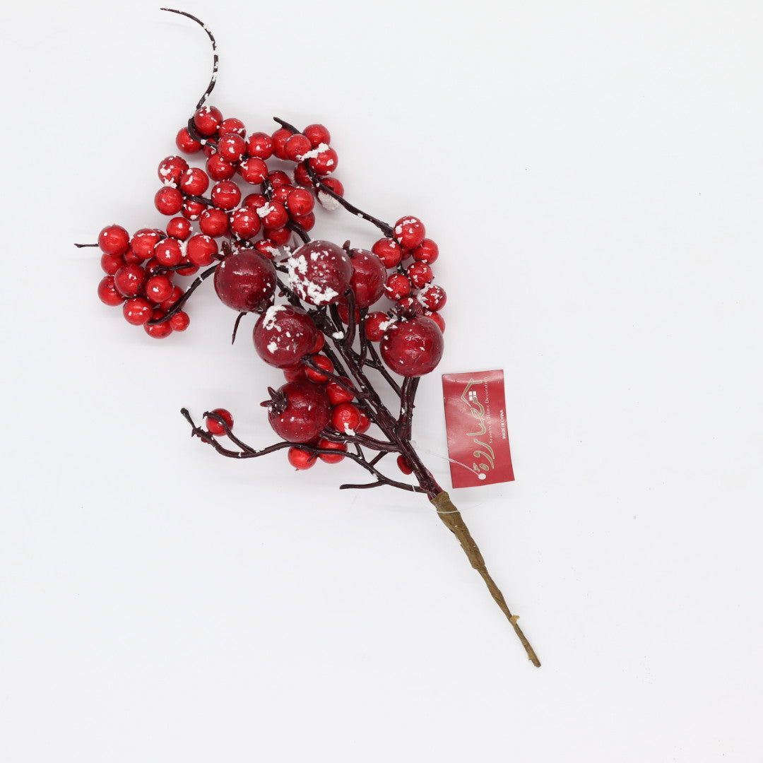 Berries With pomegranate Pick