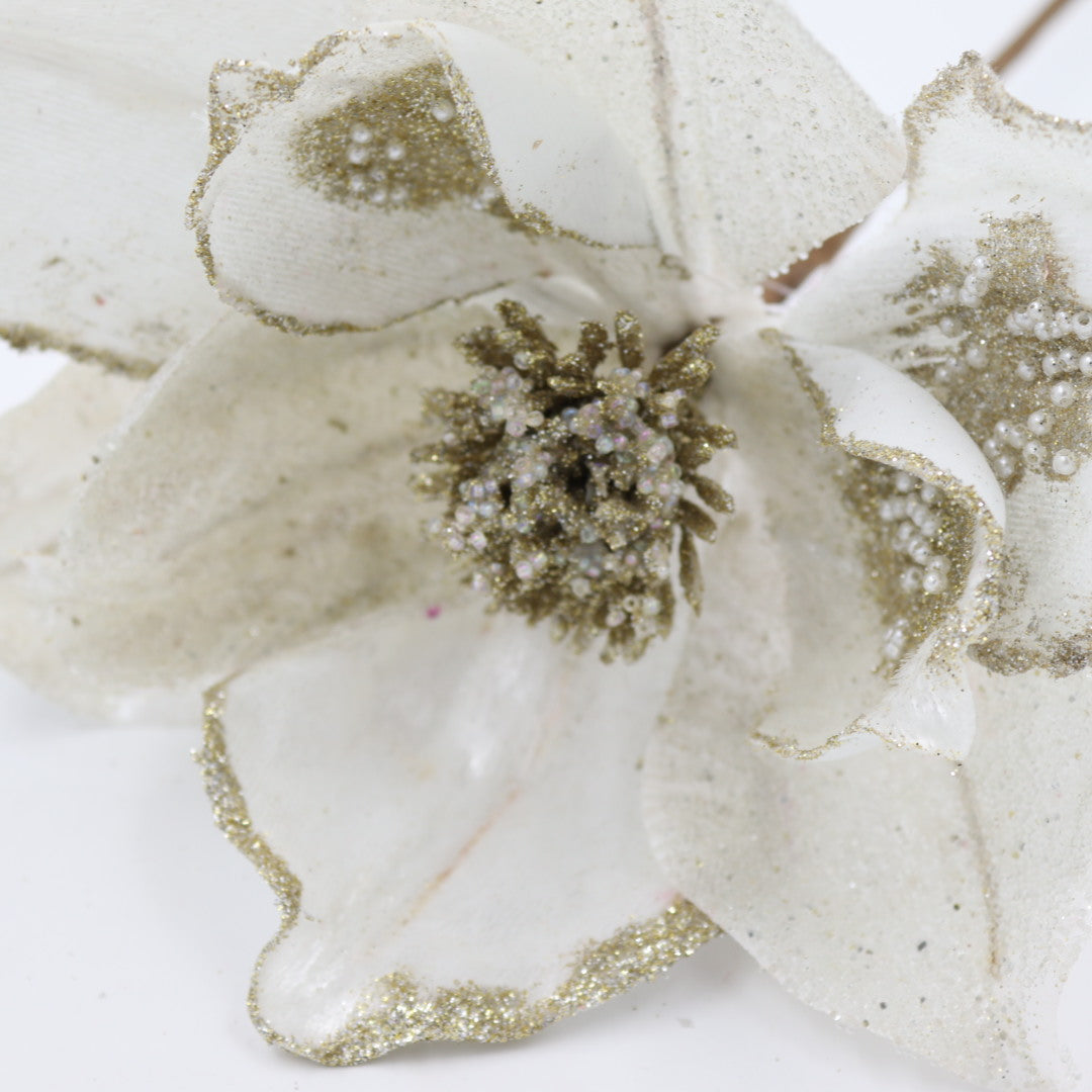 Creamy/Champagne Magnolia Flower