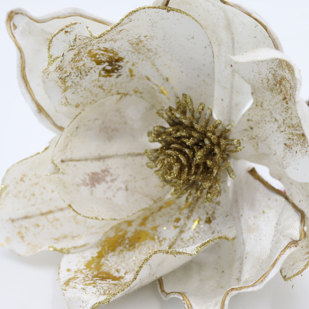 White/Gold Magnolia Flower