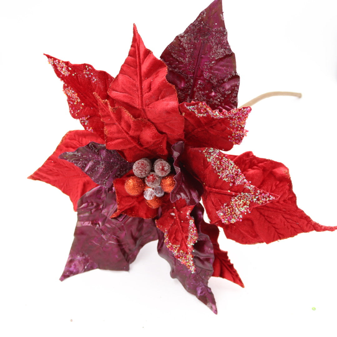 Giant Burgundy/Red Poinsettia Flower