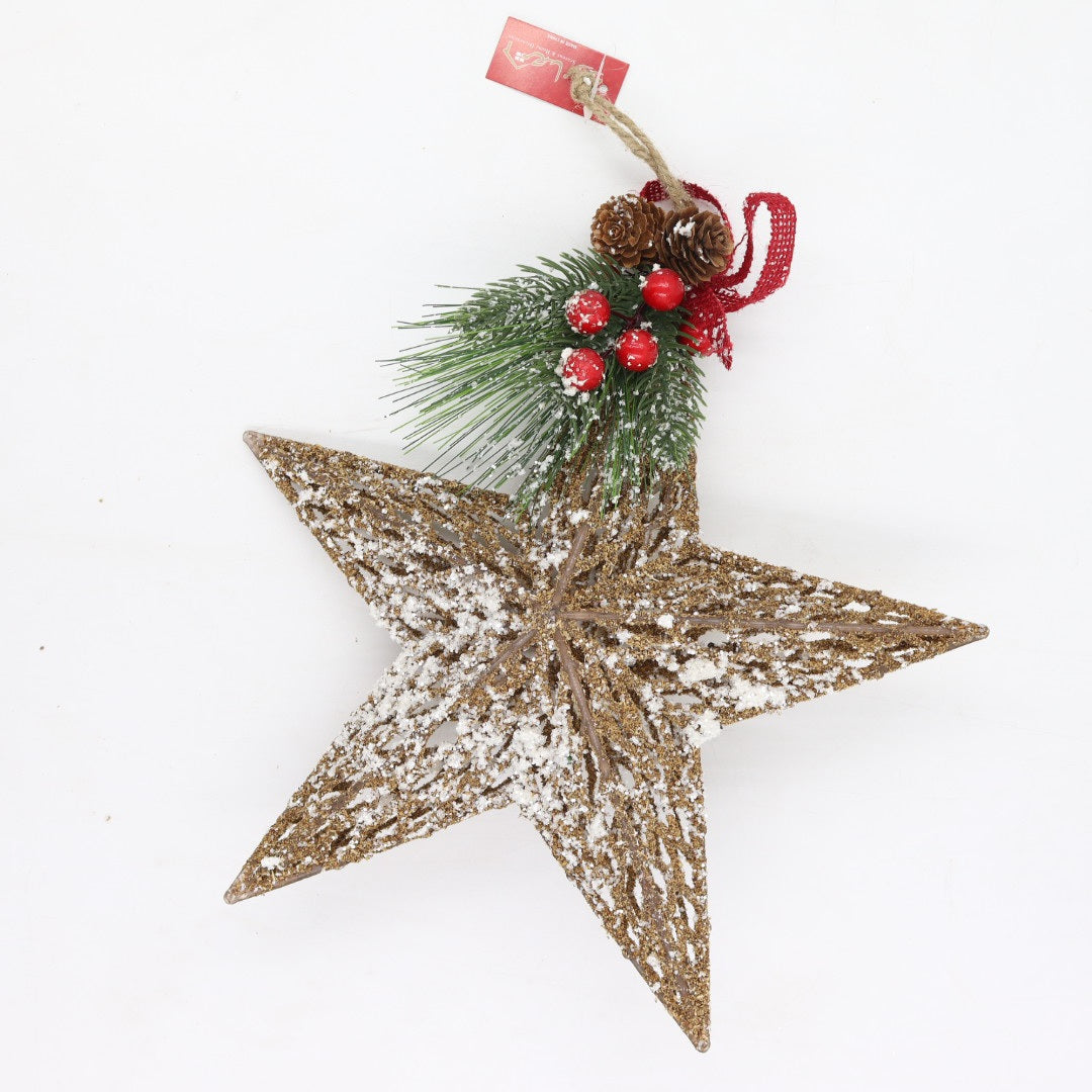 Star Ornament With/ Natural