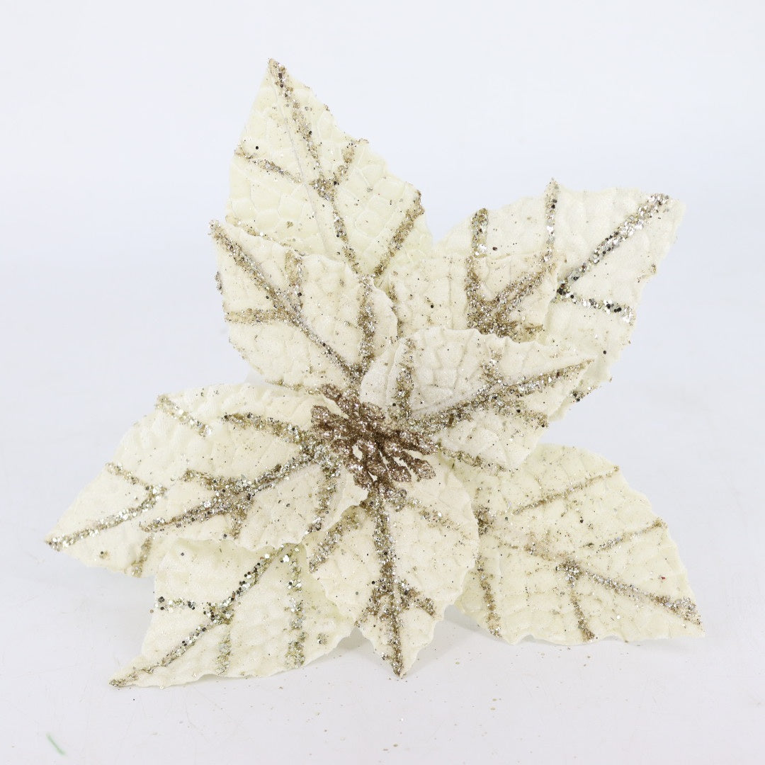 Champagne / Creamy Flower