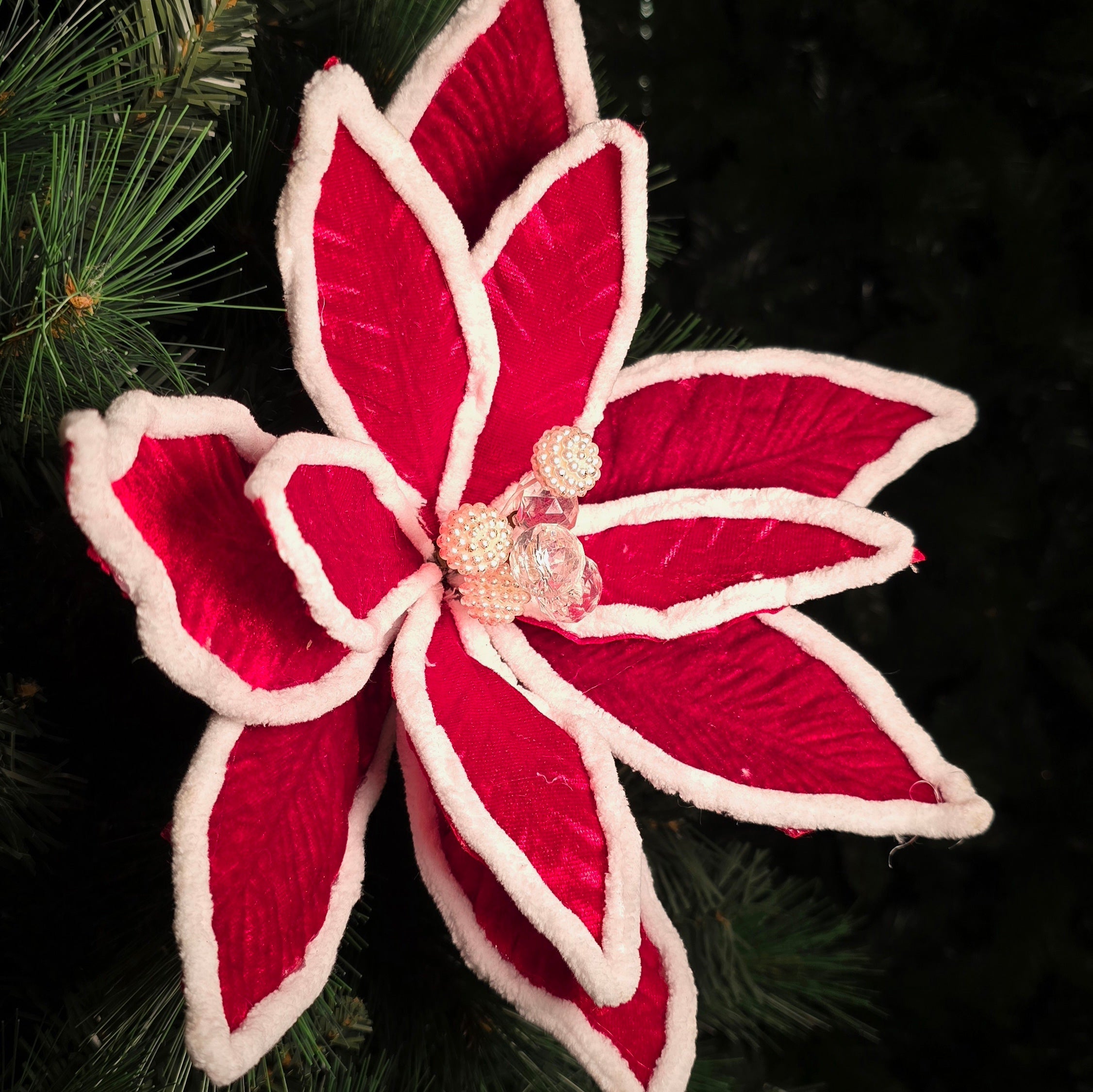 Christmas Flower White & Red