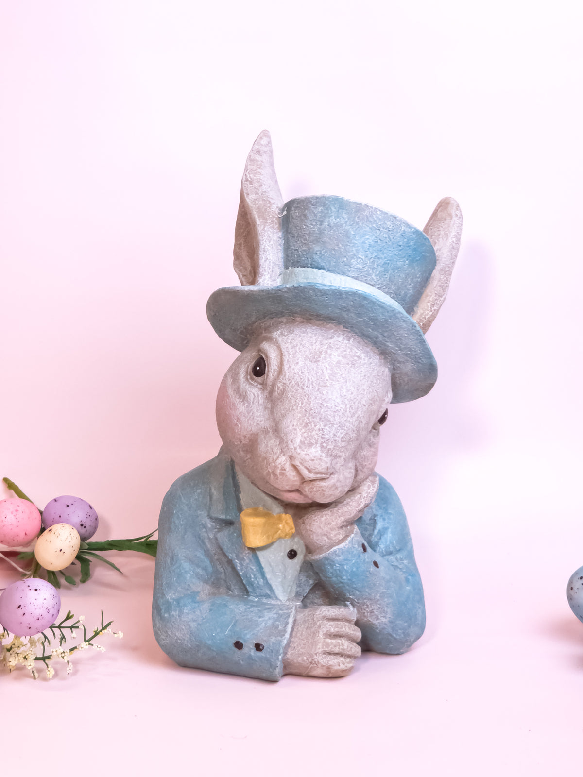 Mr. Rabbit