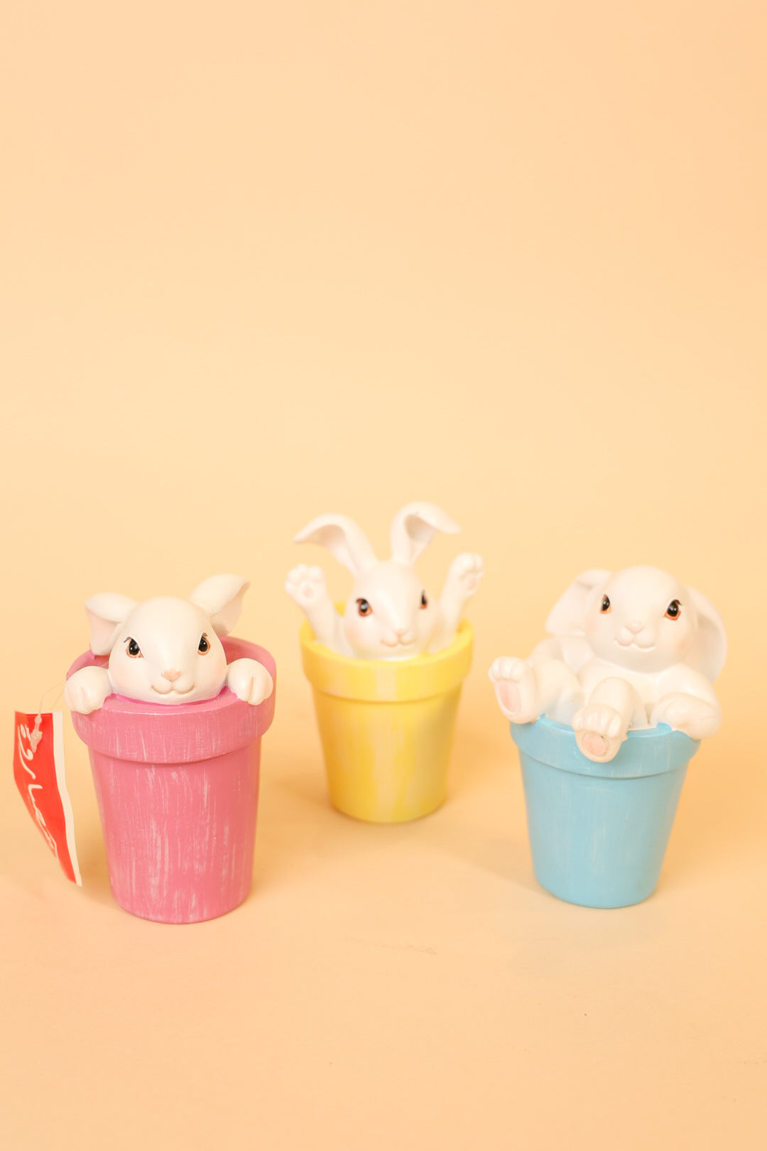 Rabbit Jumping Inside Flower Pot