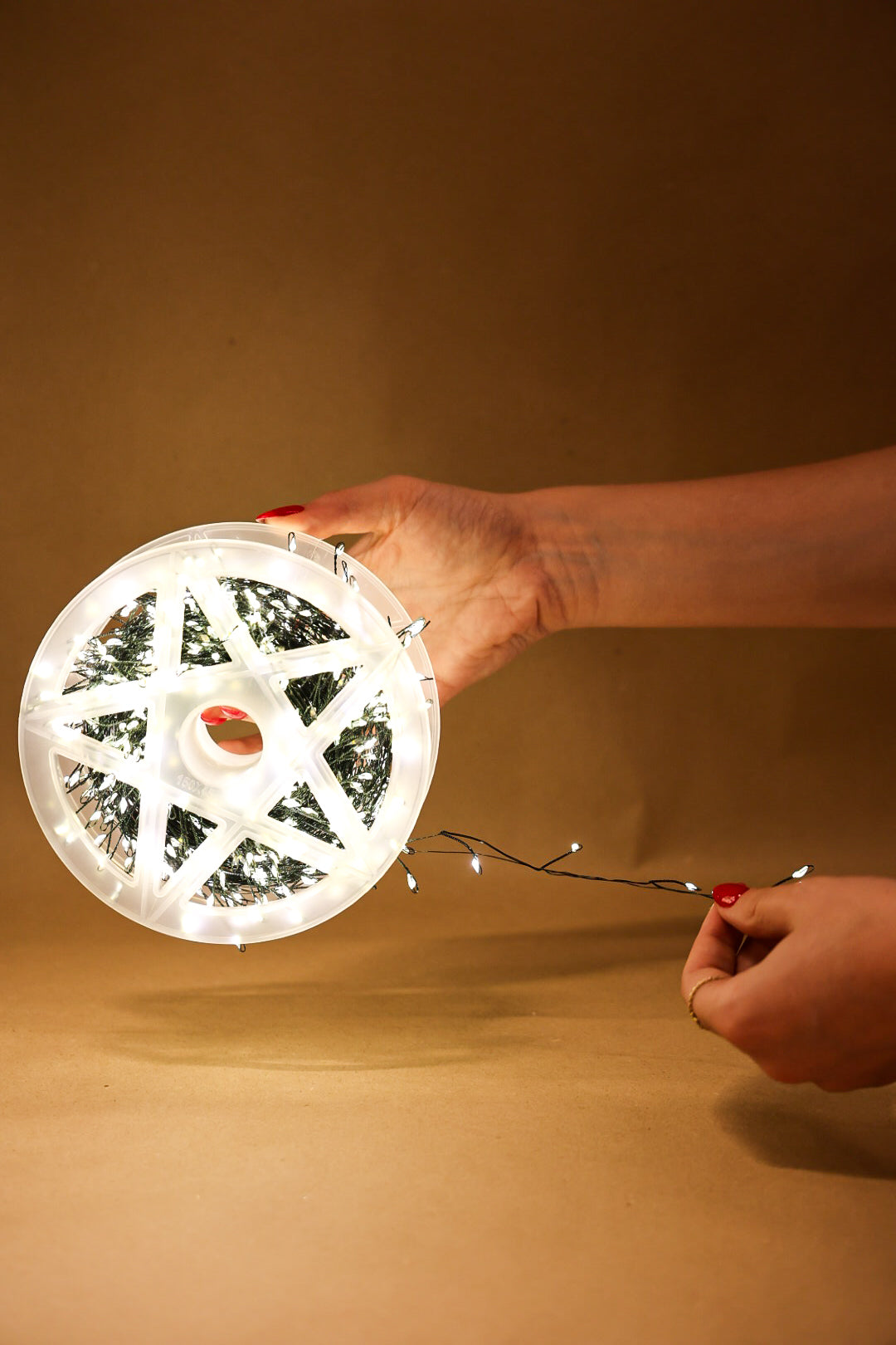 30M 750LEDs Christmas String Lights, Wire Light