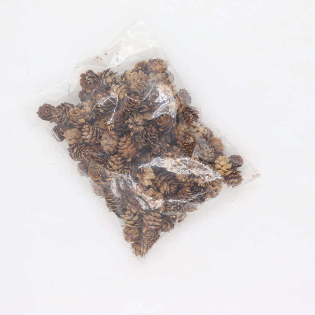 Pine Cones Bag 100G