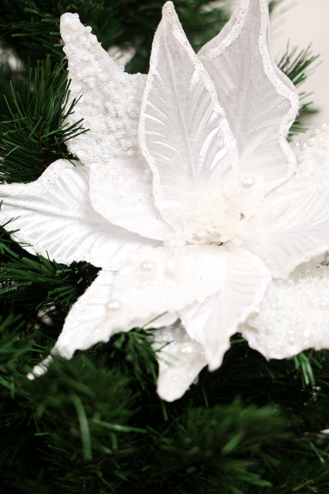 White Christmas Tree Flower