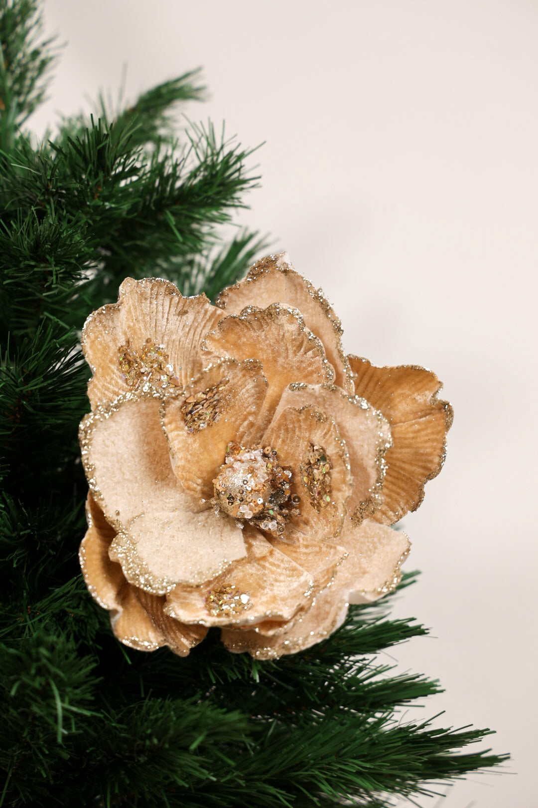 Magnolia Christmas Tree Flower