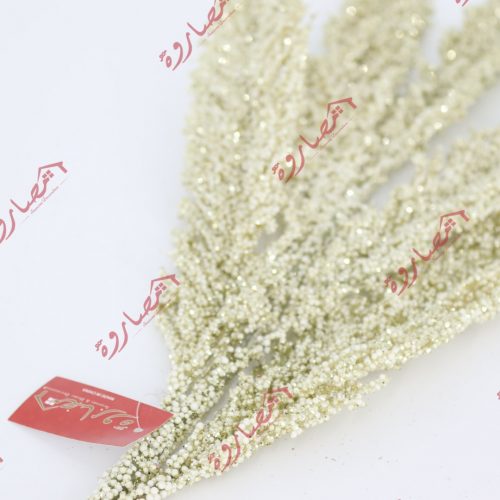 wheat champagne spray