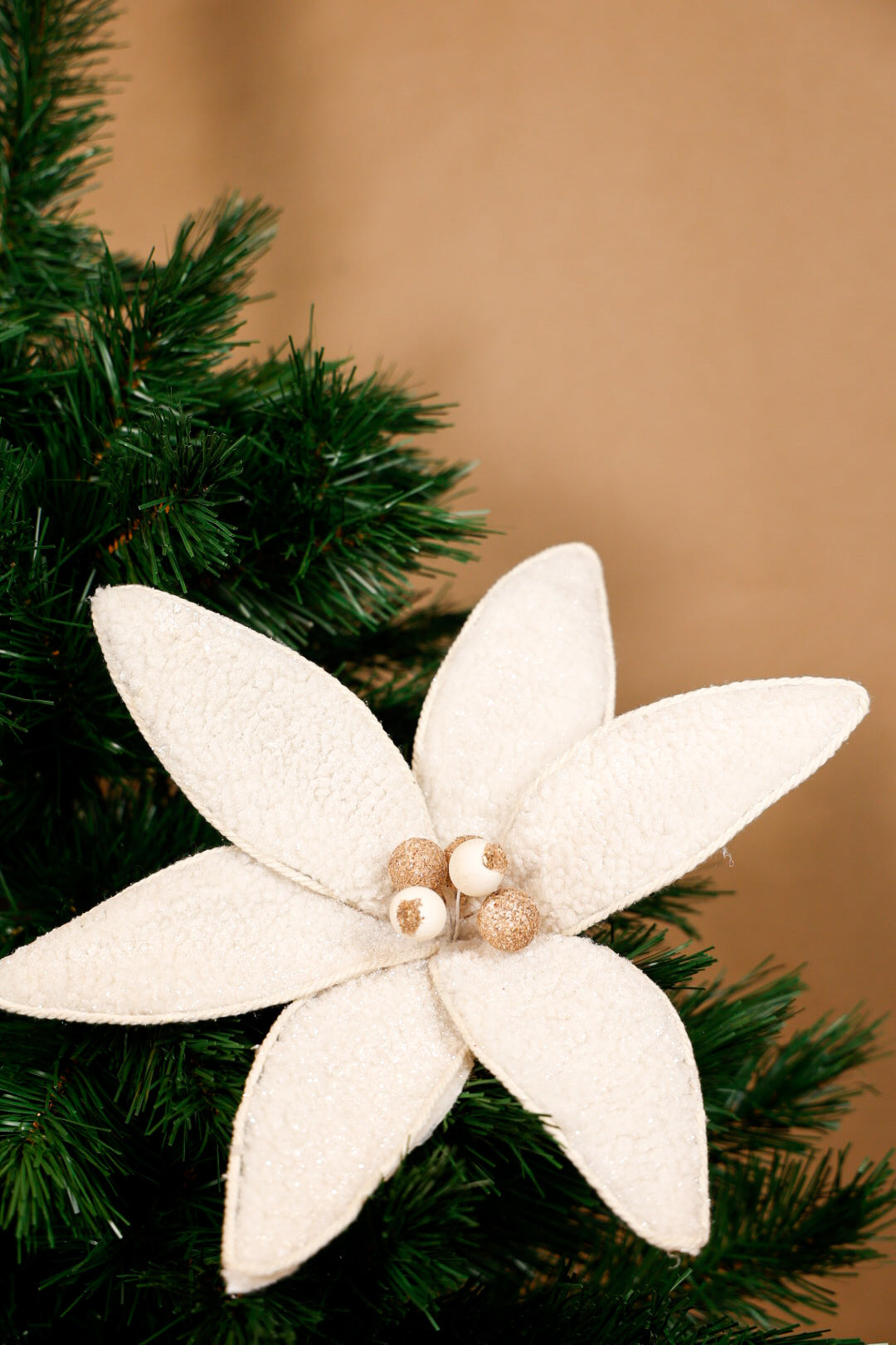 Christmas Poinsettia Flower