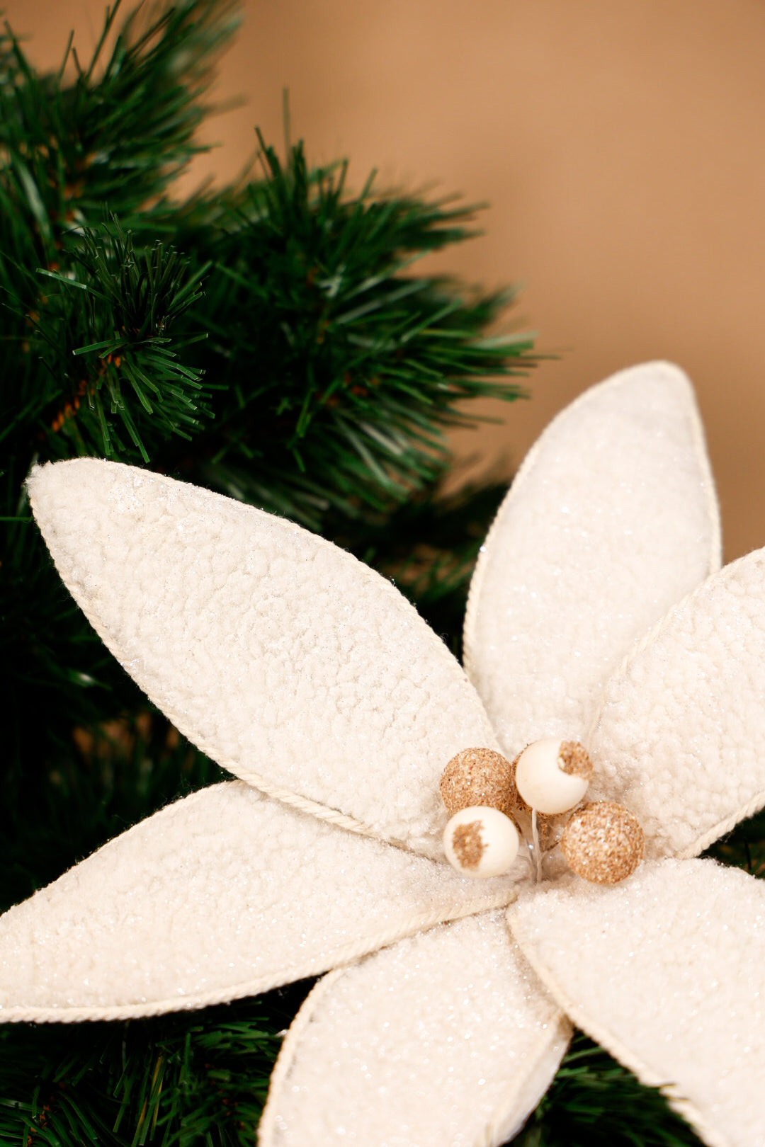 Christmas Poinsettia Flower