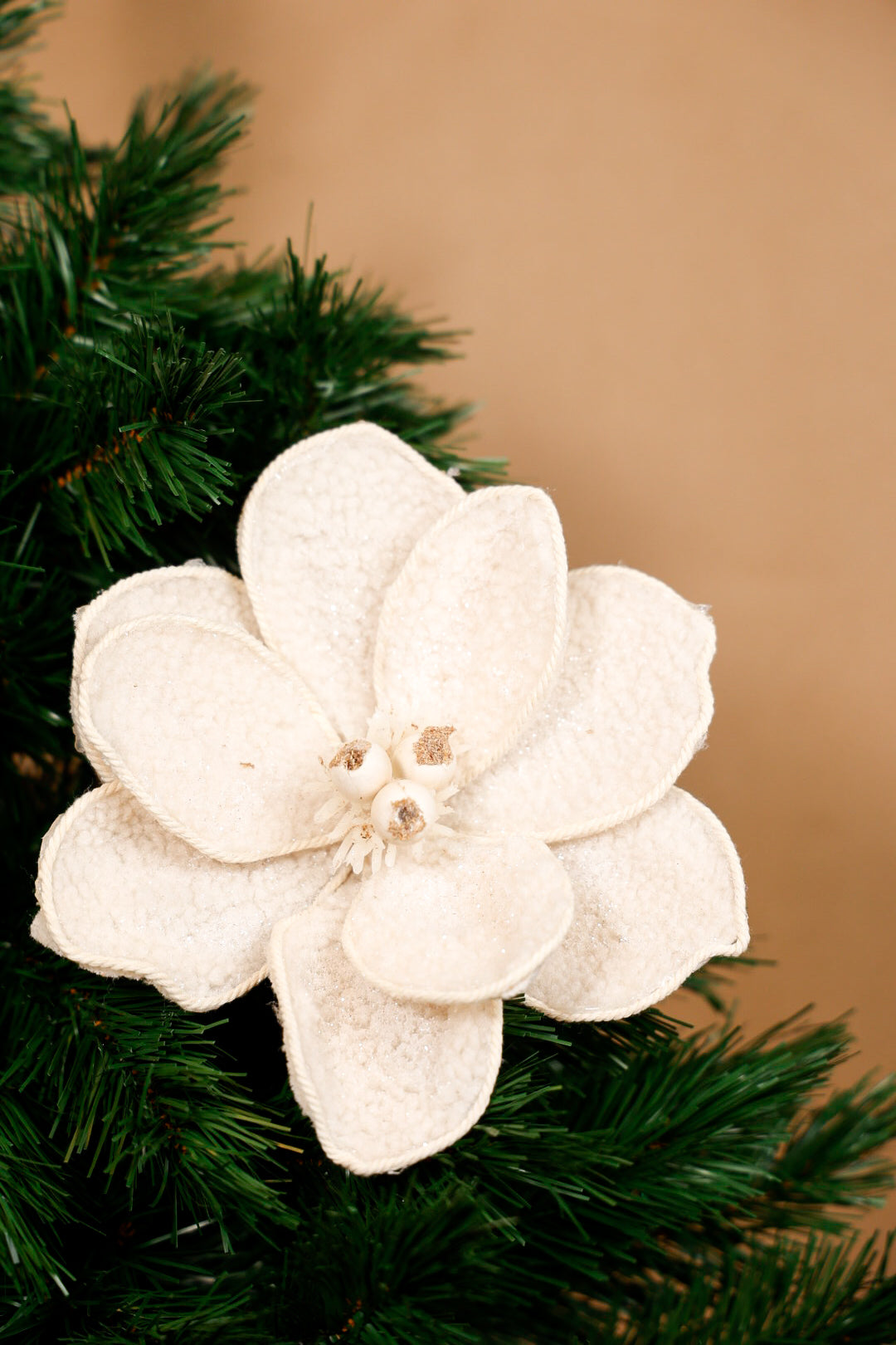 Christmas Mangolia Flower