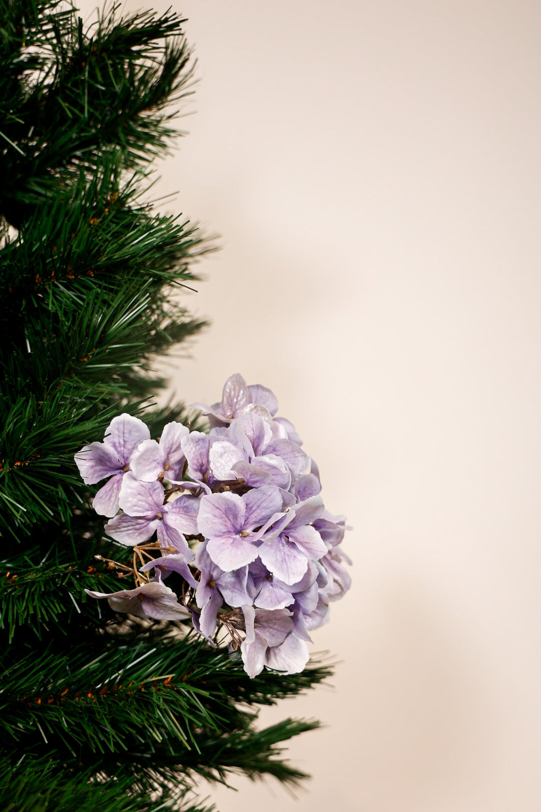 Hydrangea Purple Flower