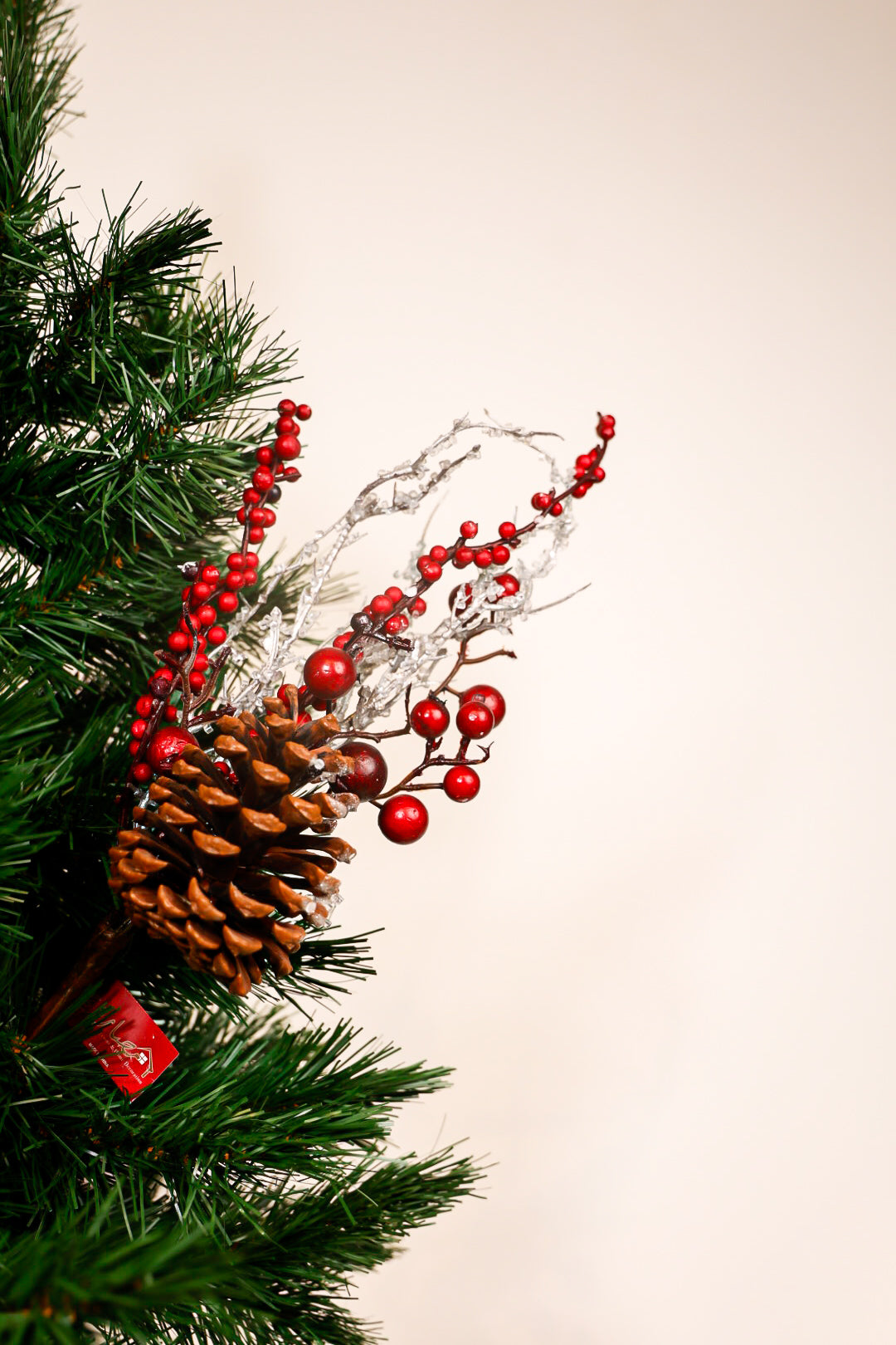 Berries Spray With Pine/Stones