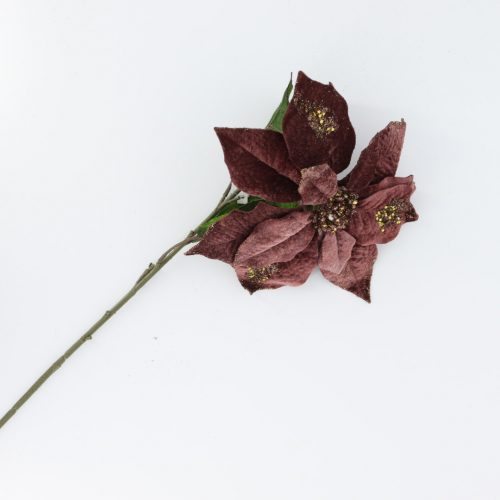 Brown Flower