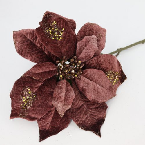 Brown Flower