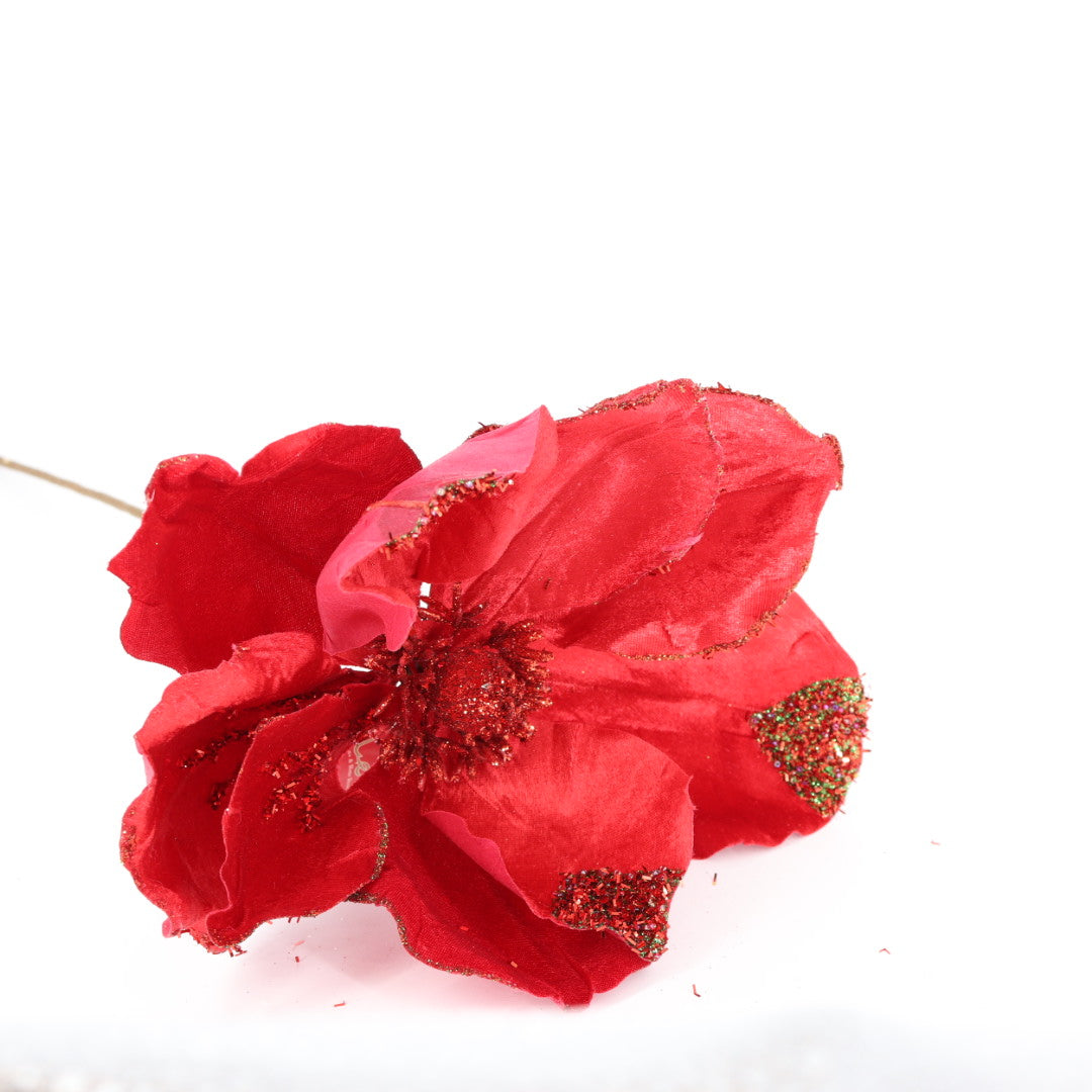 Magnolia Red Flower