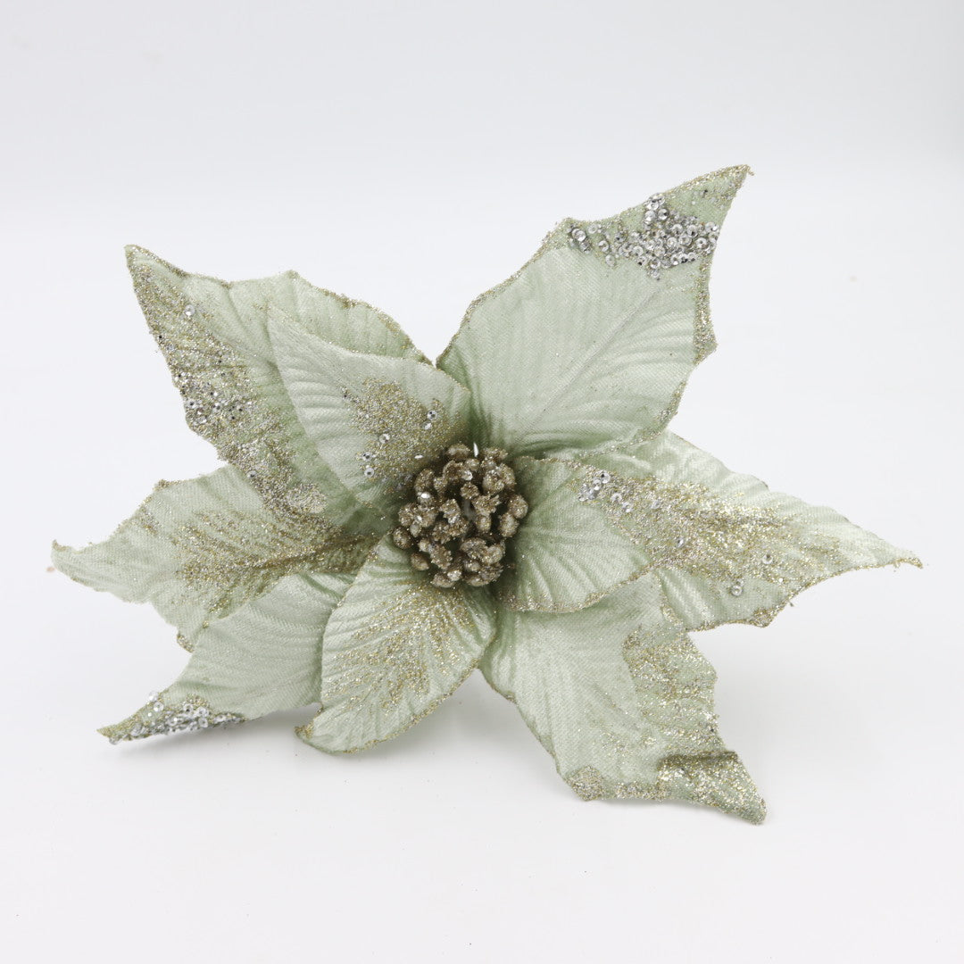 Light Green Poinsettia Flower