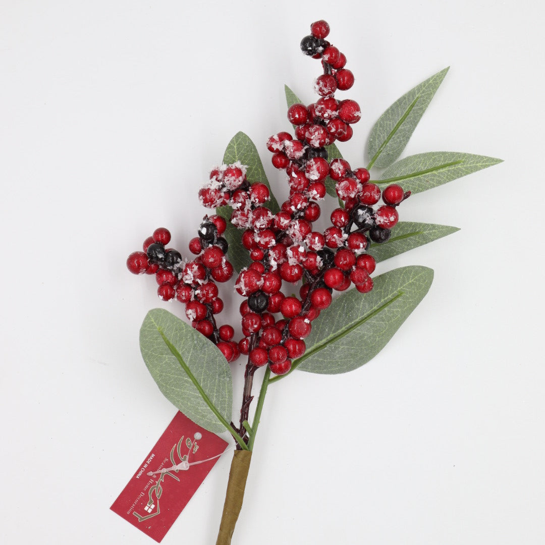 Berries Pick With Leafs