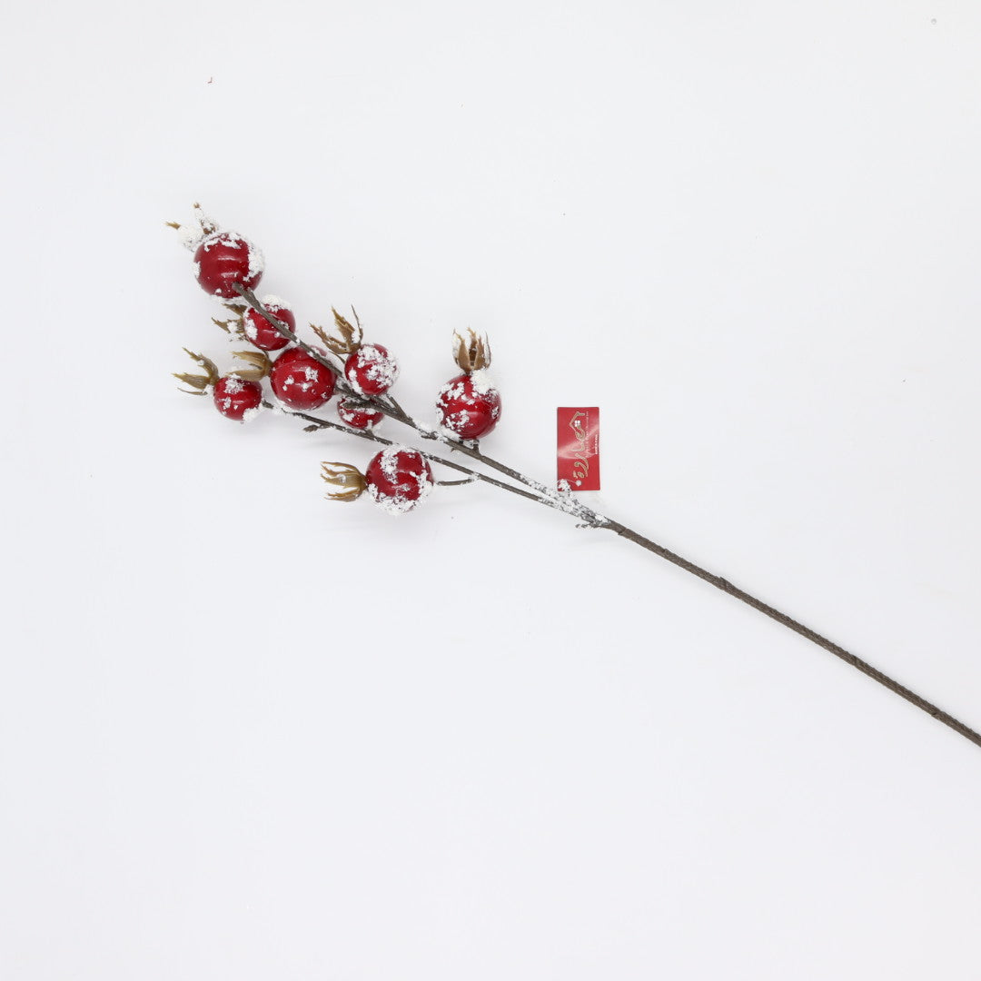 Pomegranate Spray