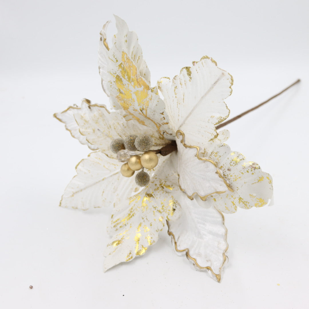 White/Gold Poinsettia Flower
