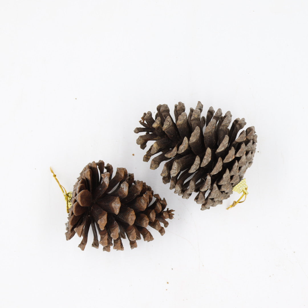 2 Pieces Cones
