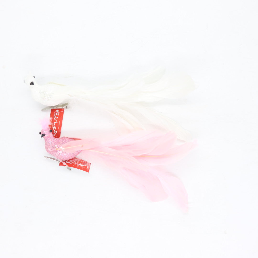 Peacock with a Clip
