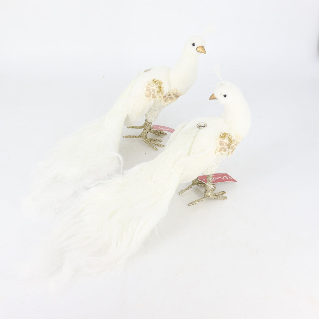 Peacock Fur