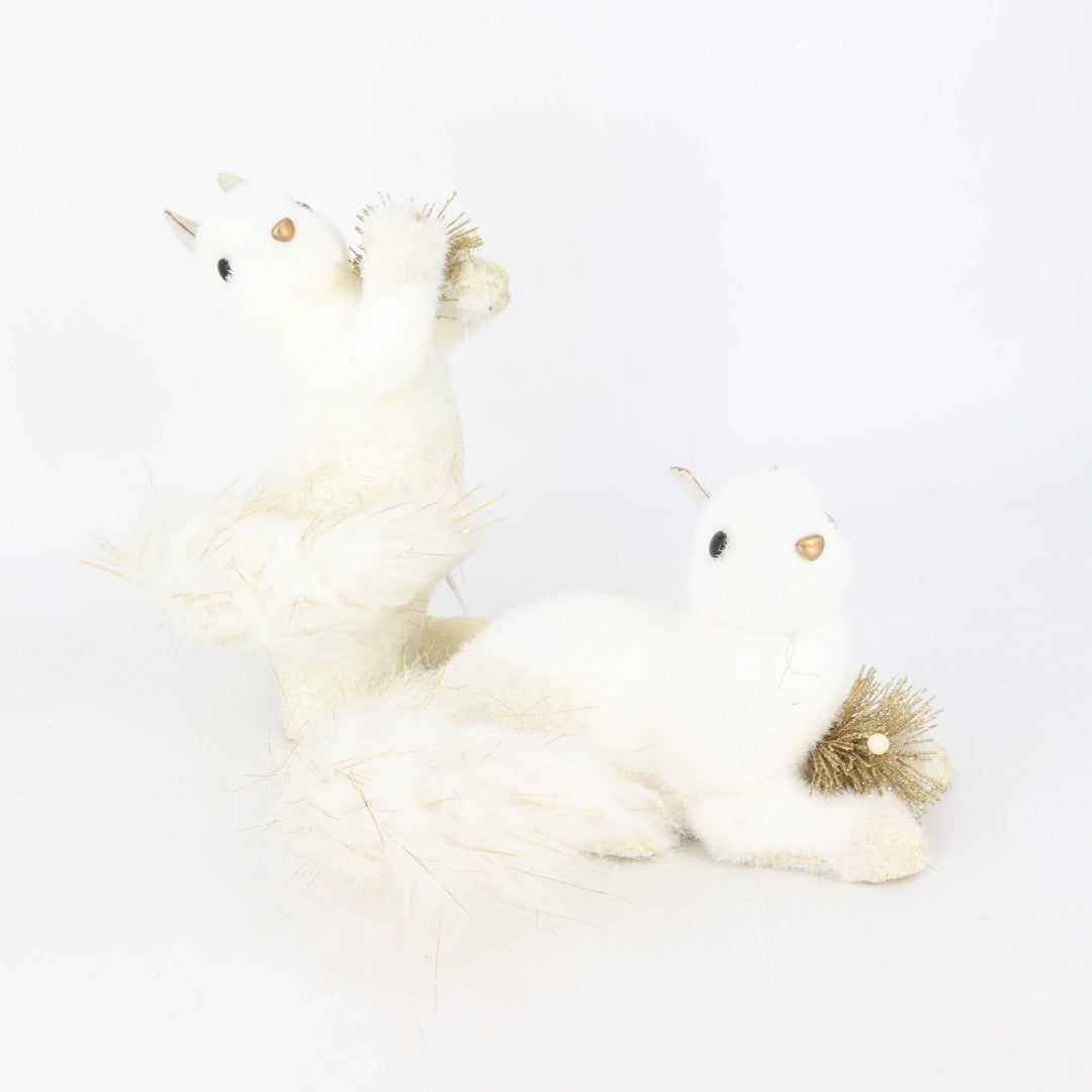 Squirrel With Fur