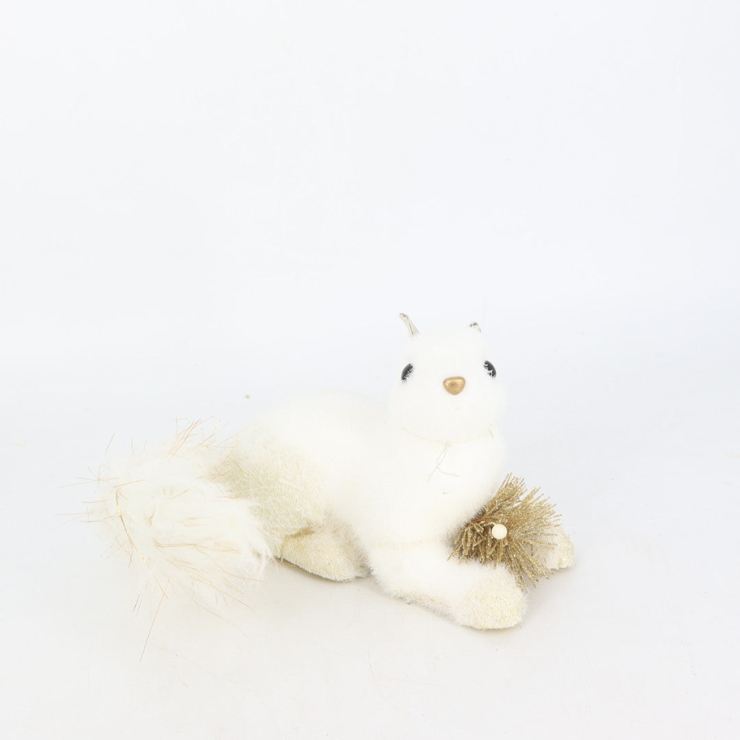 Squirrel With Fur