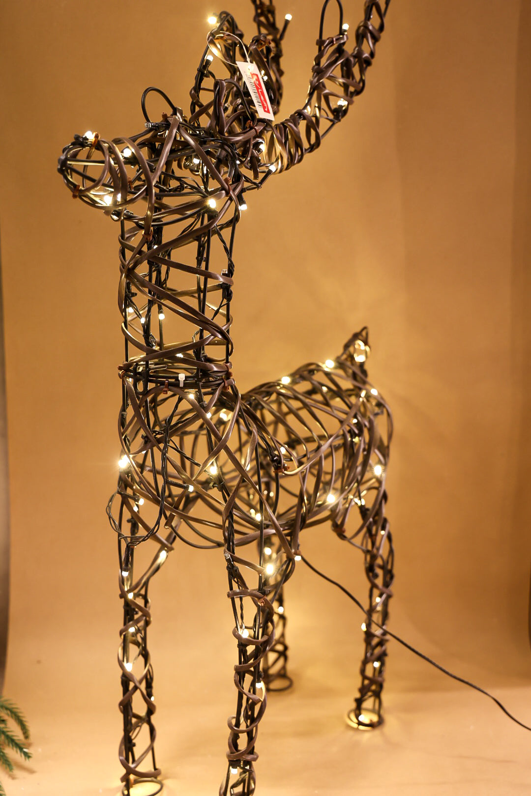 Outdoor Reindeer With Lights