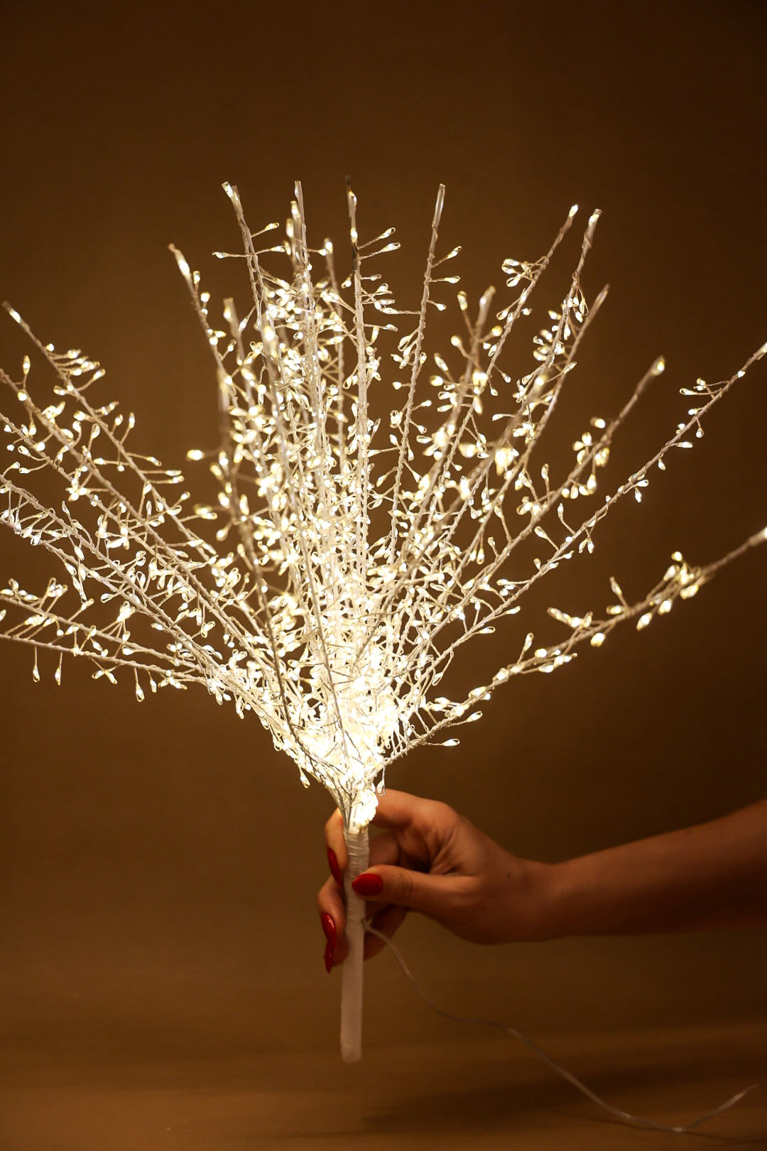 Christmas Tree Topper Light