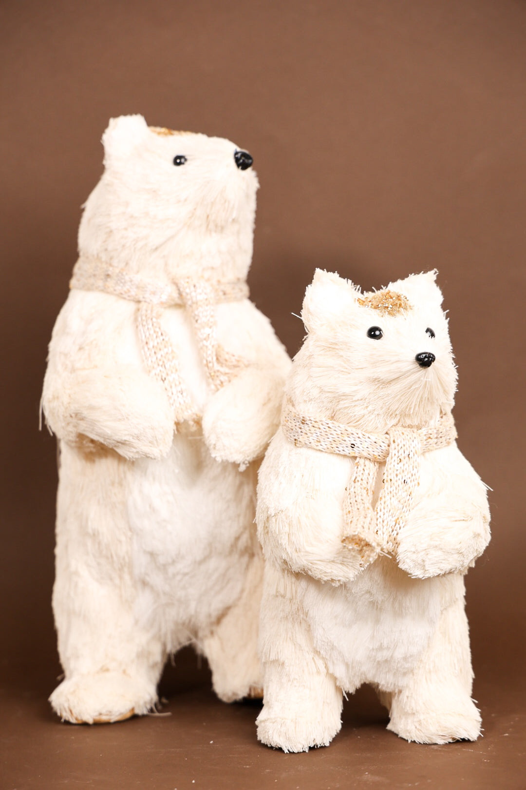 Pollar Bear