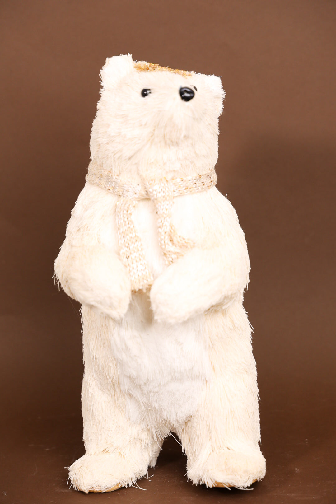 Pollar Bear