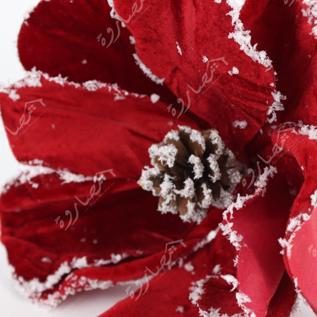 Red/White Flower