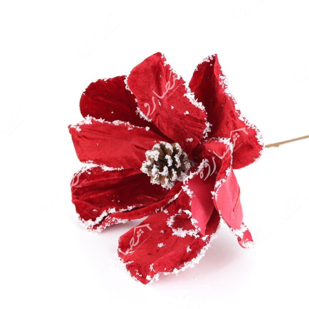 Red/White Flower