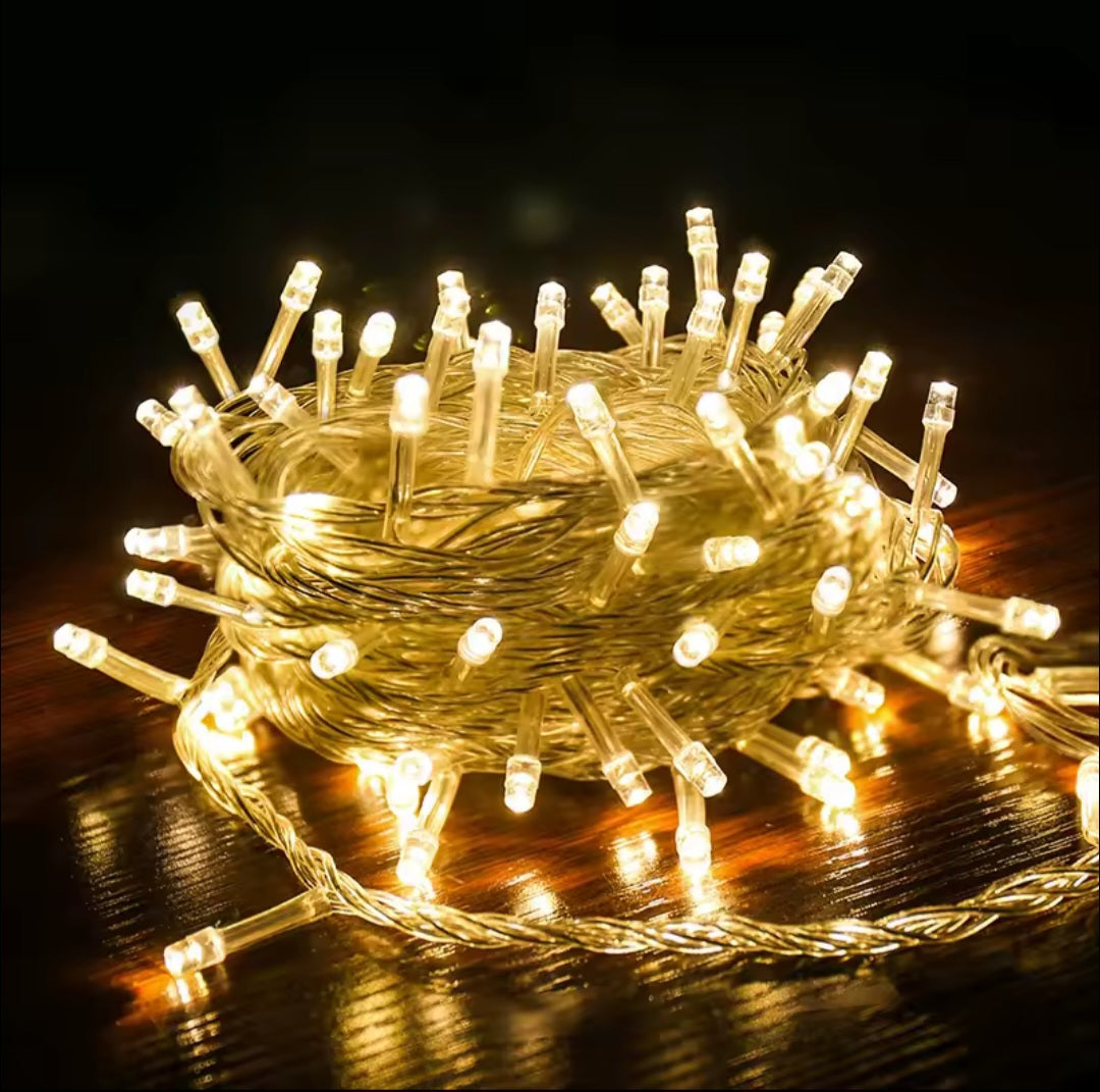 Steady 200 LED Warm light Transparent Wire
