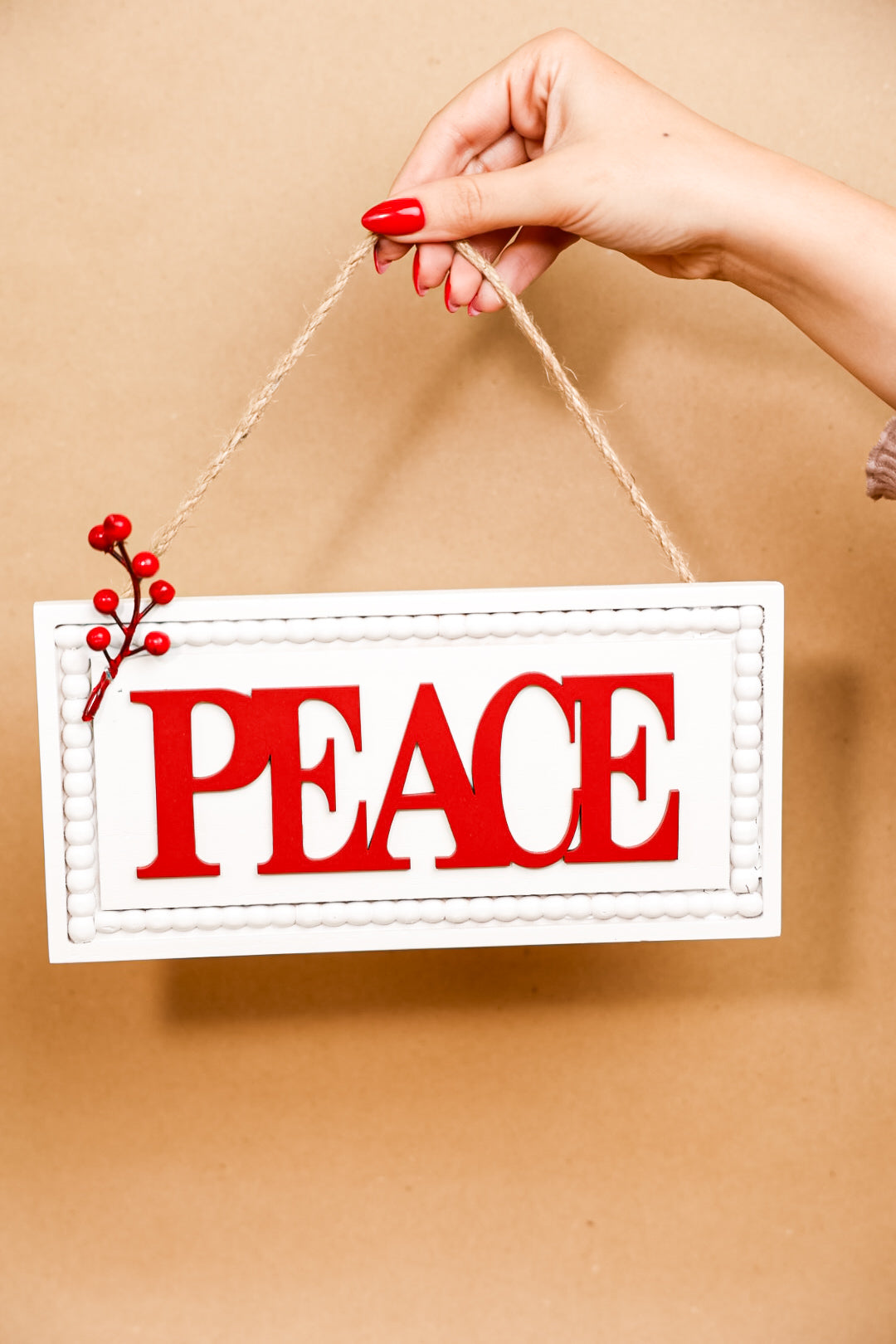 Christmas Words Hanging Signs Plaque