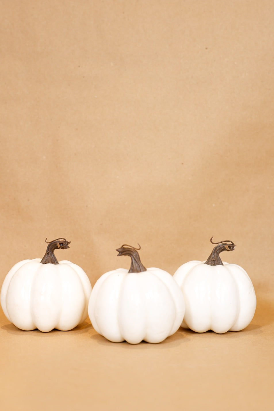 Autumn Pumpkins Set