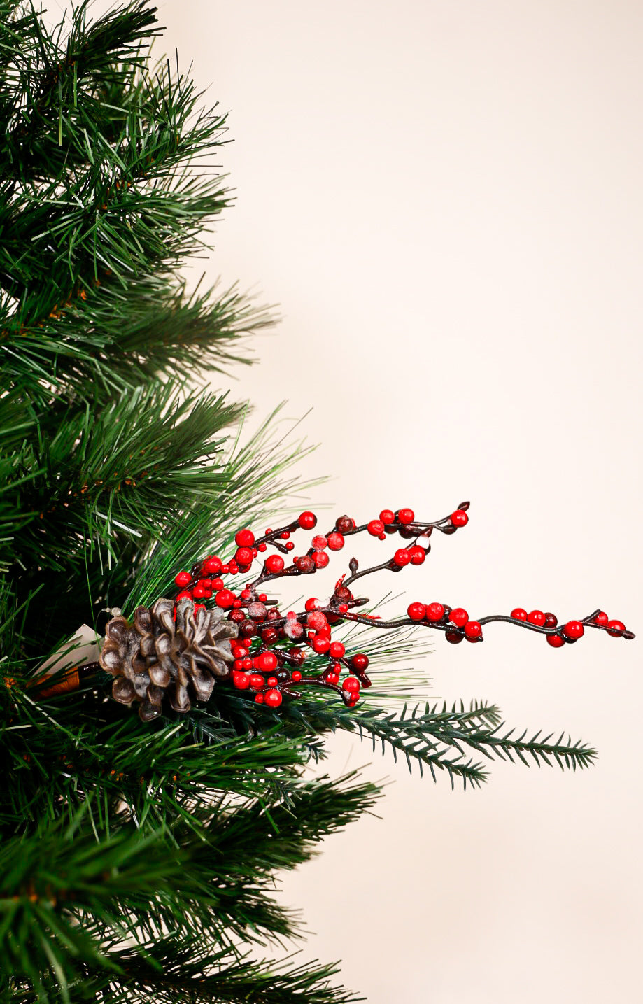 Berries Pick With Pine