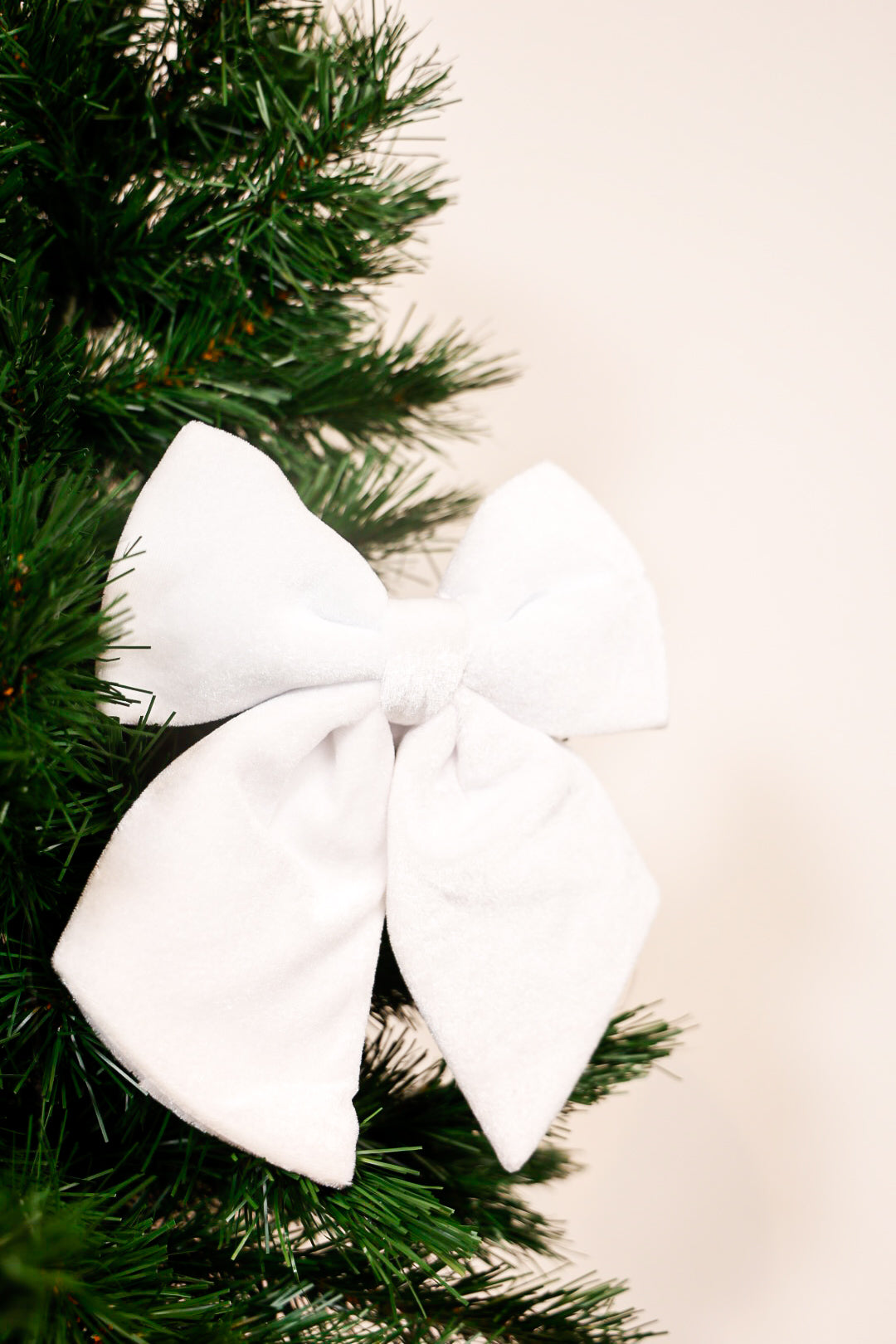 White Bow Ribbon Velvet